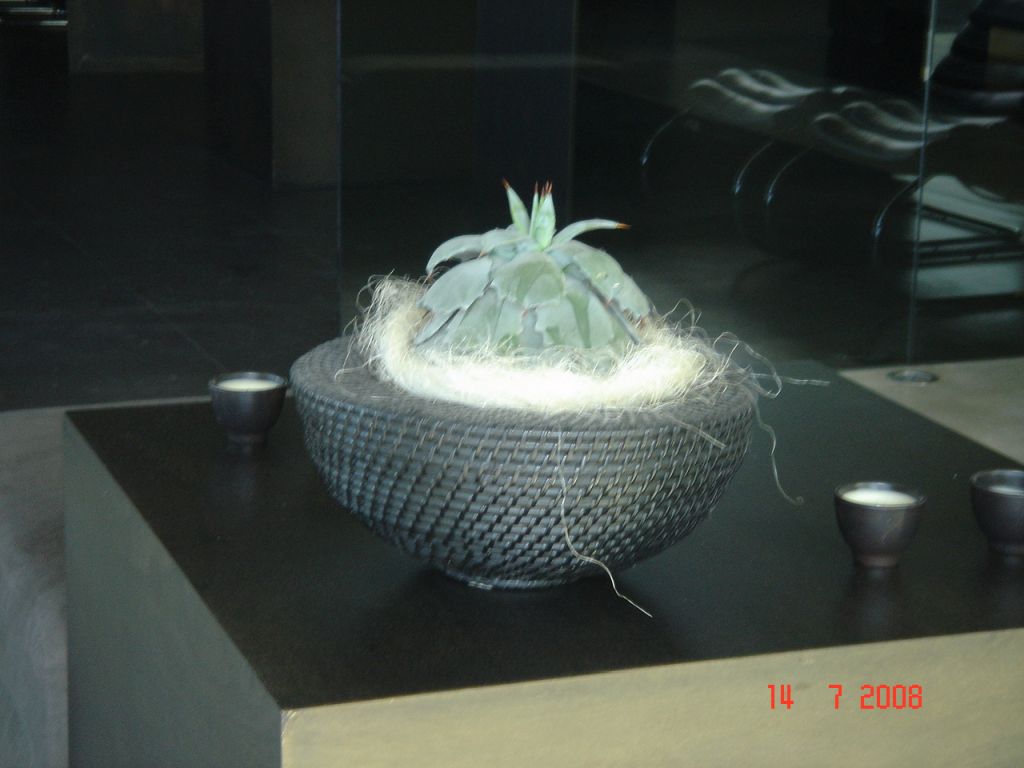 CattolicaHotelVictoriaPalace 060